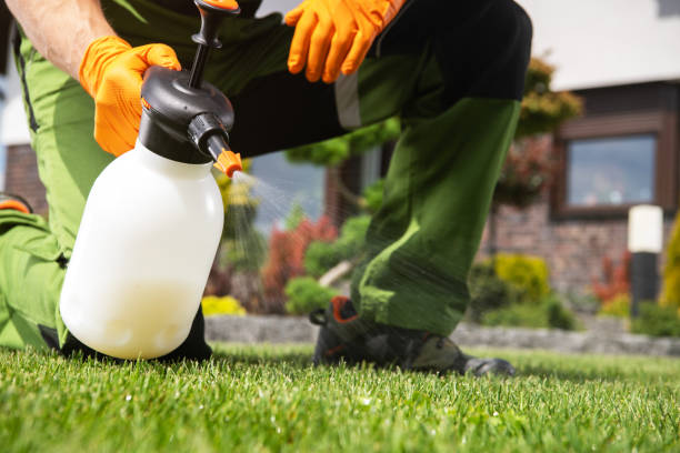 Best Emergency Pest Control  in Lakemore, OH