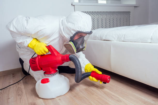 Best Wasp Removal Services  in Lakemore, OH