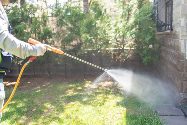 Best Best Pest Control Companies  in Lakemore, OH
